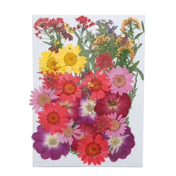 Много смесени реални пресовани цветя, сушени цветя и смоли бижута scrapbooking калъф за вашия телефон, като занаяти САМ сухи растения 4025